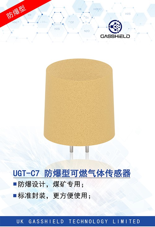 防爆型可燃?xì)怏w傳感器